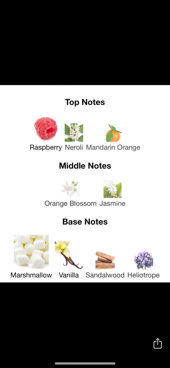 Dolce Gabbana Pour Femme 5 ml - Görsel 3