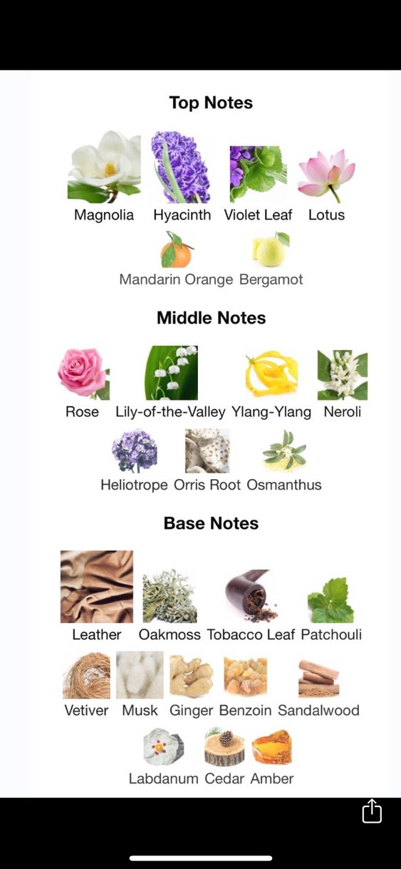 Agent Provocateur Petale Noir 5 ml - Görsel 3