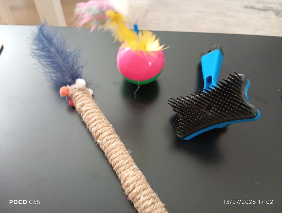 Renkli Kedi Oyuncakları ve Tüy Fırçası - Görsel 2