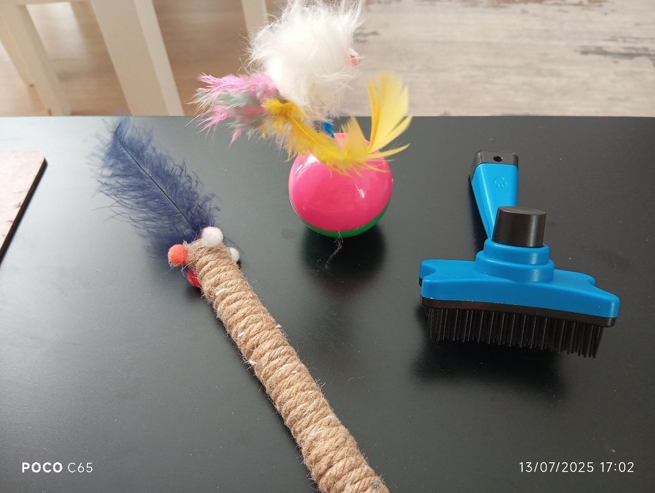 Renkli Kedi Oyuncakları ve Tüy Fırçası - Görsel 3