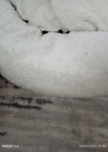 Beyaz Yumuşak Düz kedi minderi - Görsel 2