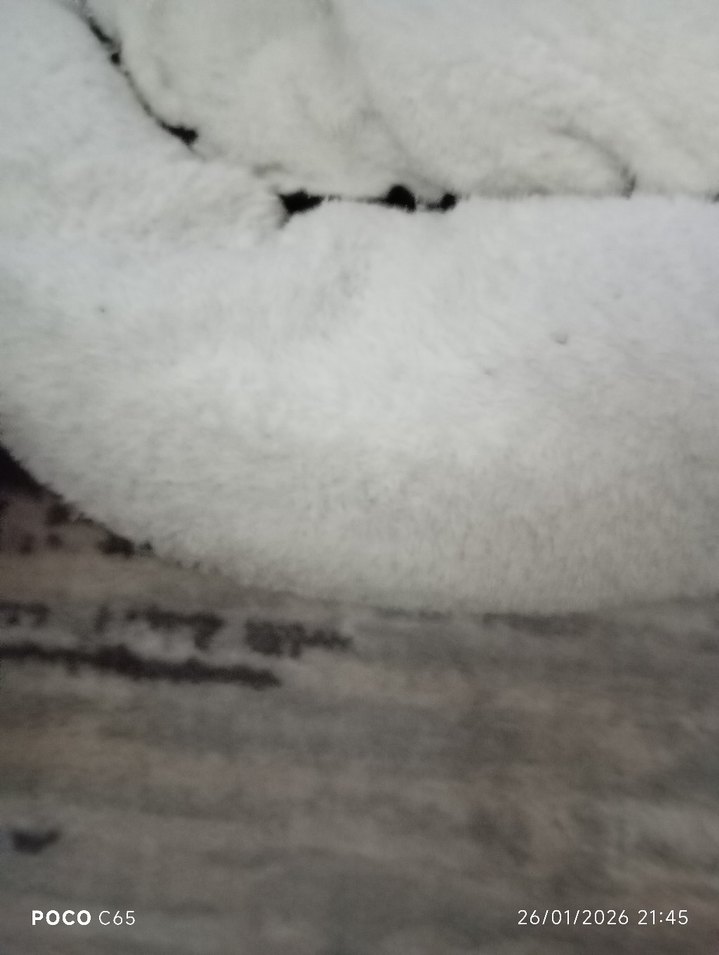 Beyaz Yumuşak Düz kedi minderi - Görsel 2