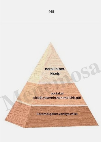 Bargello Eau de Parfum Kadın Parfümü - Görsel 6