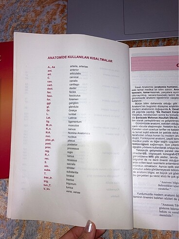 Beden İnsan anatomisi sağlık yüksekokulları içim