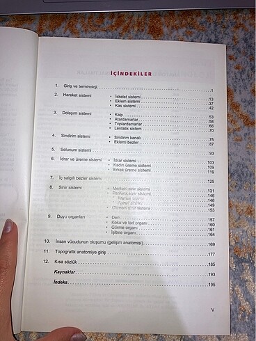 İnsan anatomisi sağlık yüksekokulları içim