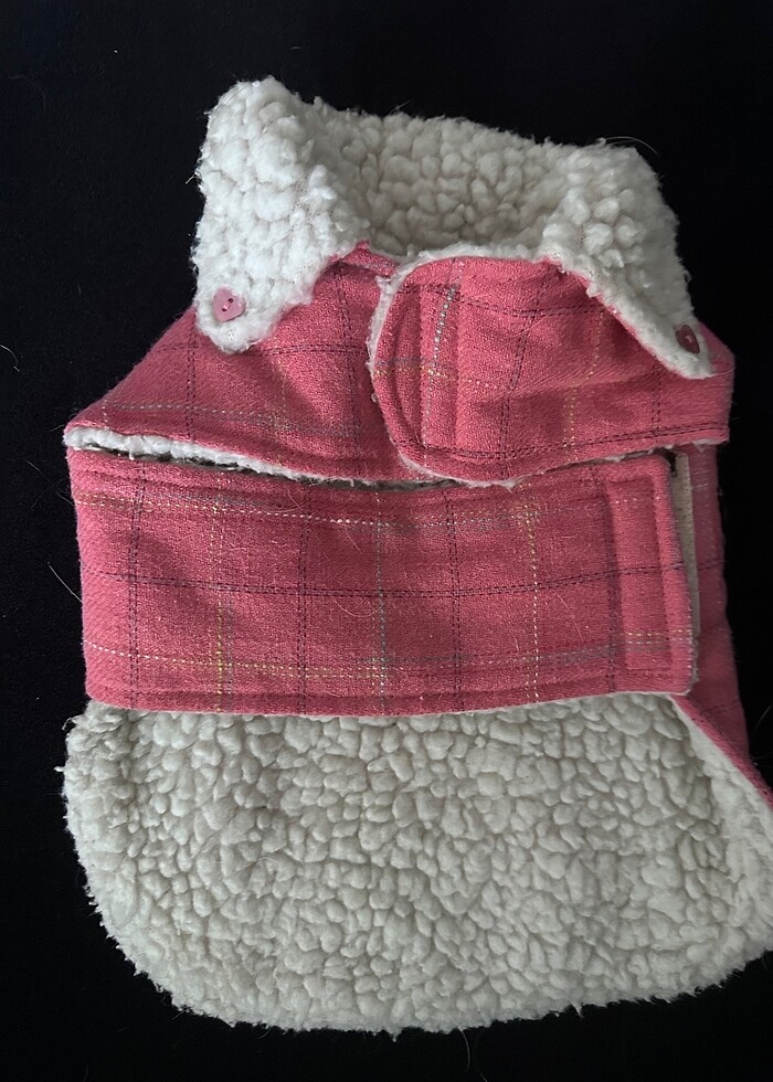 Köpek mont - Görsel 3