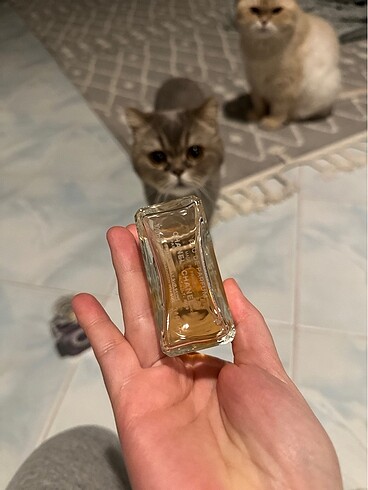 Chanel Orjinal coco chanel parfüm 100ml
