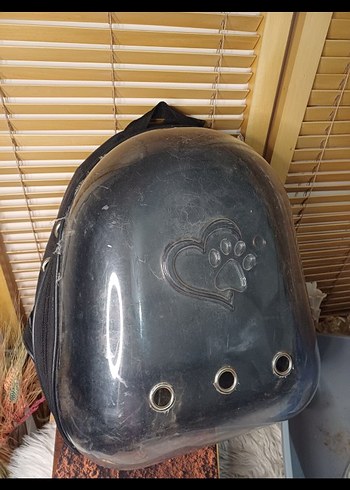 Gri Kedi Taşıma Çantası ve Kum Kabı - Görsel 4