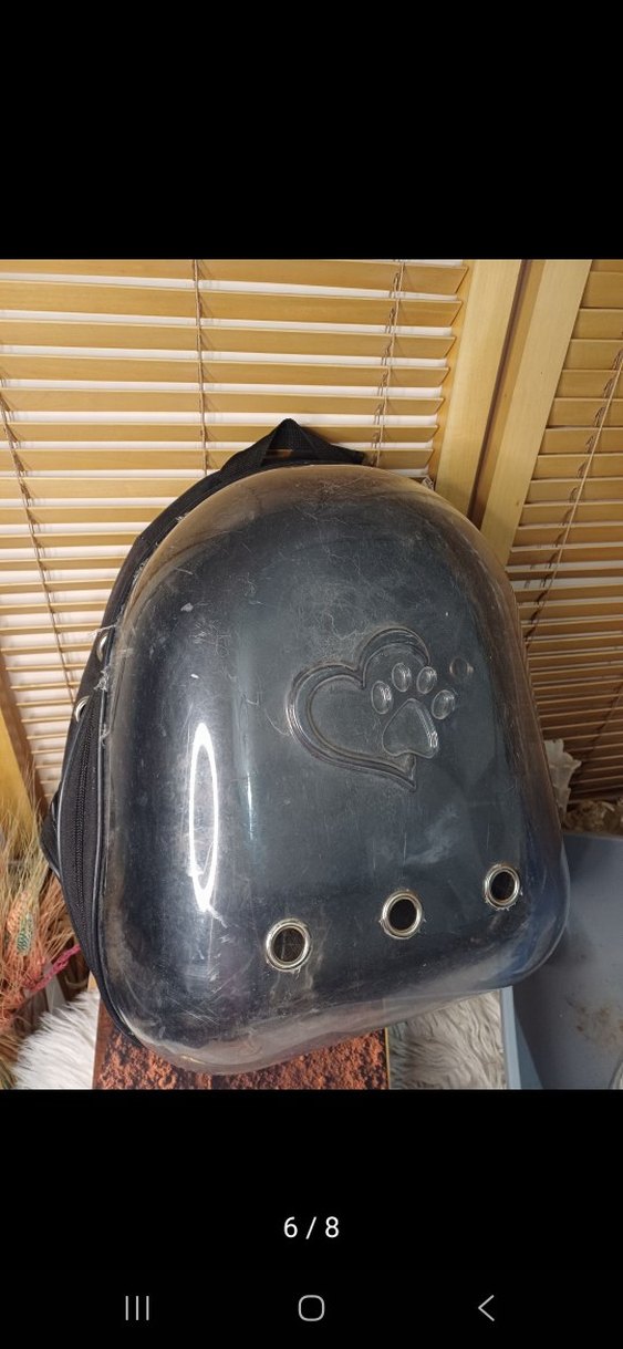 Gri Kedi Taşıma Çantası ve Kum Kabı - Görsel 4