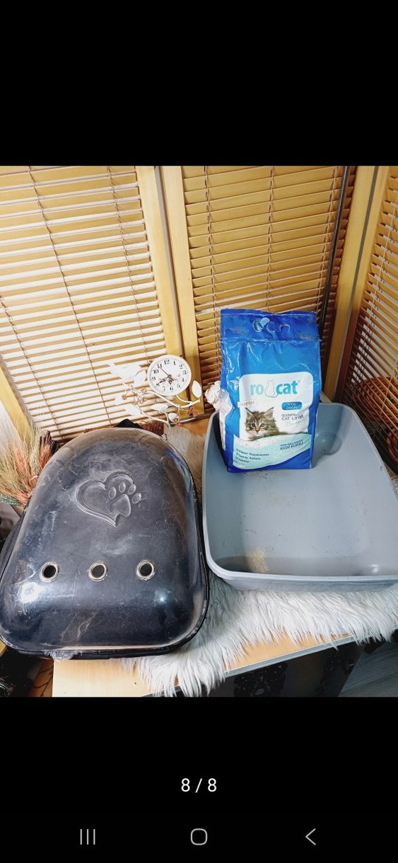 Gri Kedi Taşıma Çantası ve Kum Kabı - Görsel 5