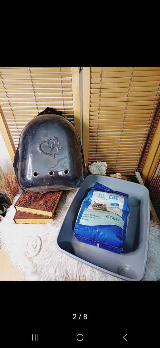 Gri Kedi Taşıma Çantası ve Kum Kabı - Görsel 2