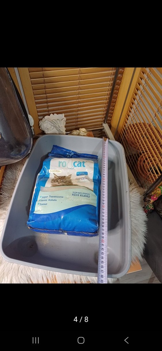 Gri Kedi Taşıma Çantası ve Kum Kabı - Görsel 3