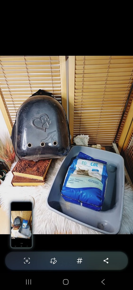 Gri Kedi Taşıma Çantası ve Kedi Kumu Kabı - Görsel 2