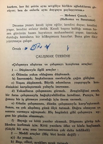 Fikir Yazıları Nasıl Yazılır - Sabahat Emir - Görsel 6