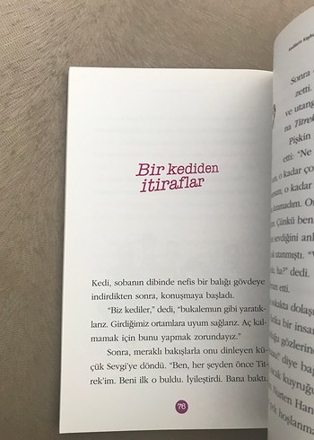 Kedilerin Kaybolma Mevsimi - Behiç Ak - Görsel 5