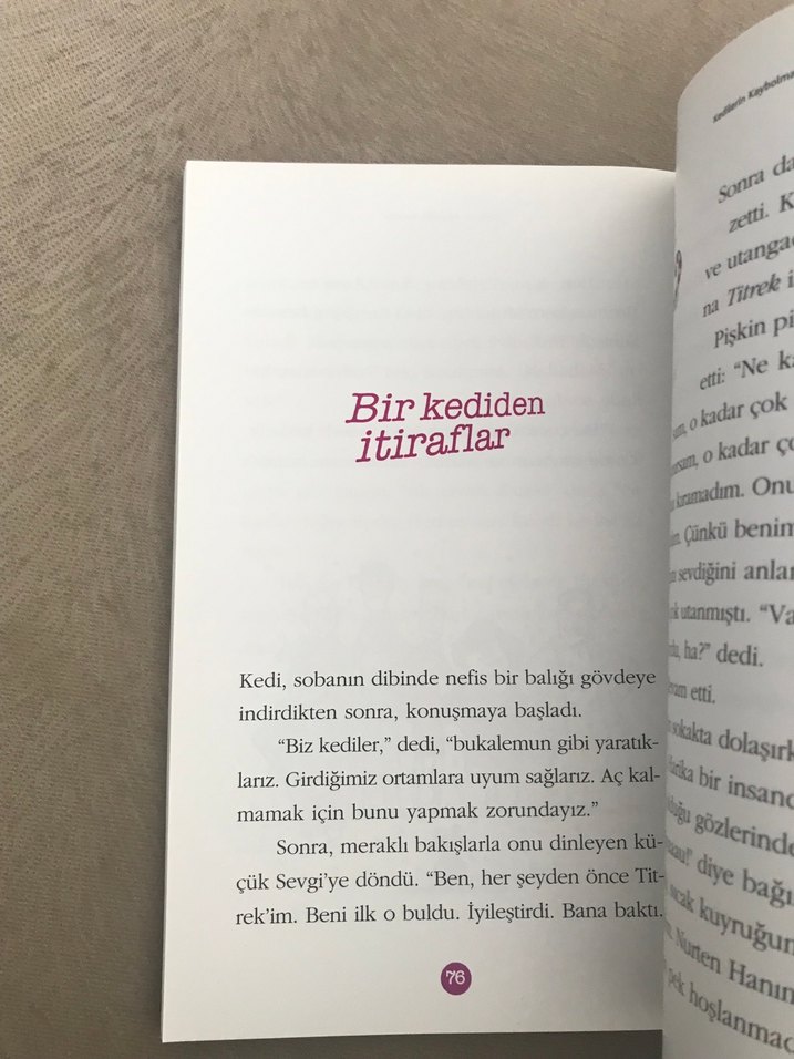 Kedilerin Kaybolma Mevsimi - Behiç Ak - Görsel 5