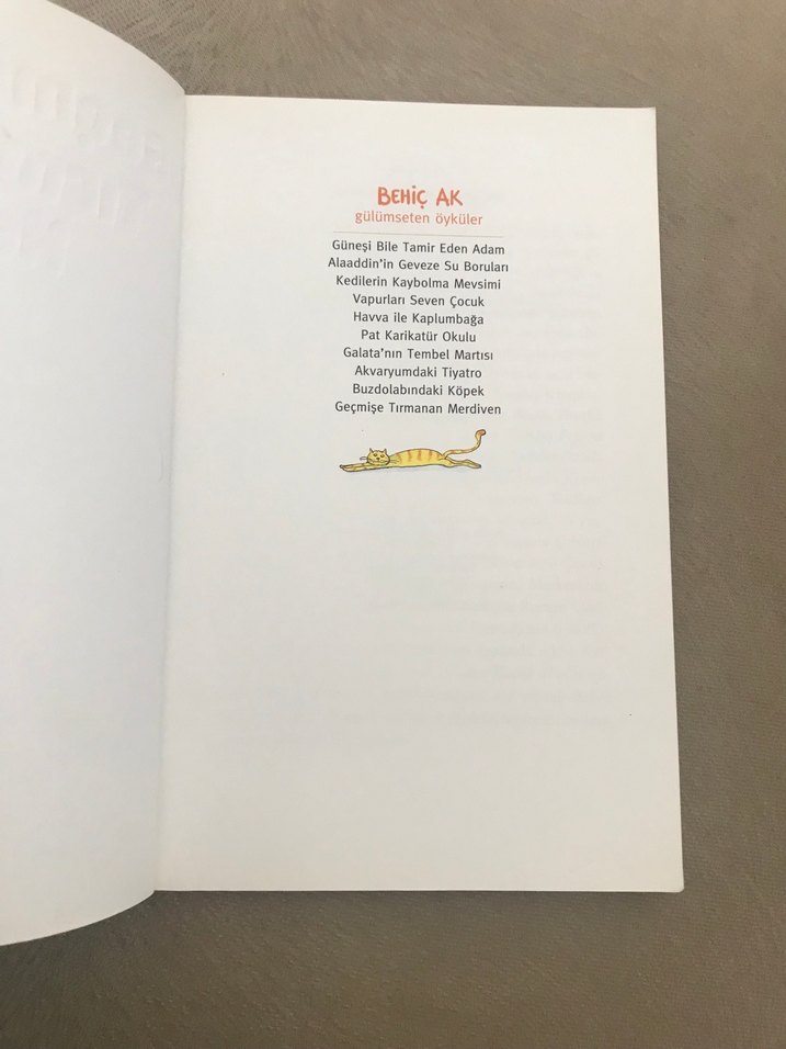 Geçmişe Tırmanan Merdiven - Behiç Ak - Görsel 3