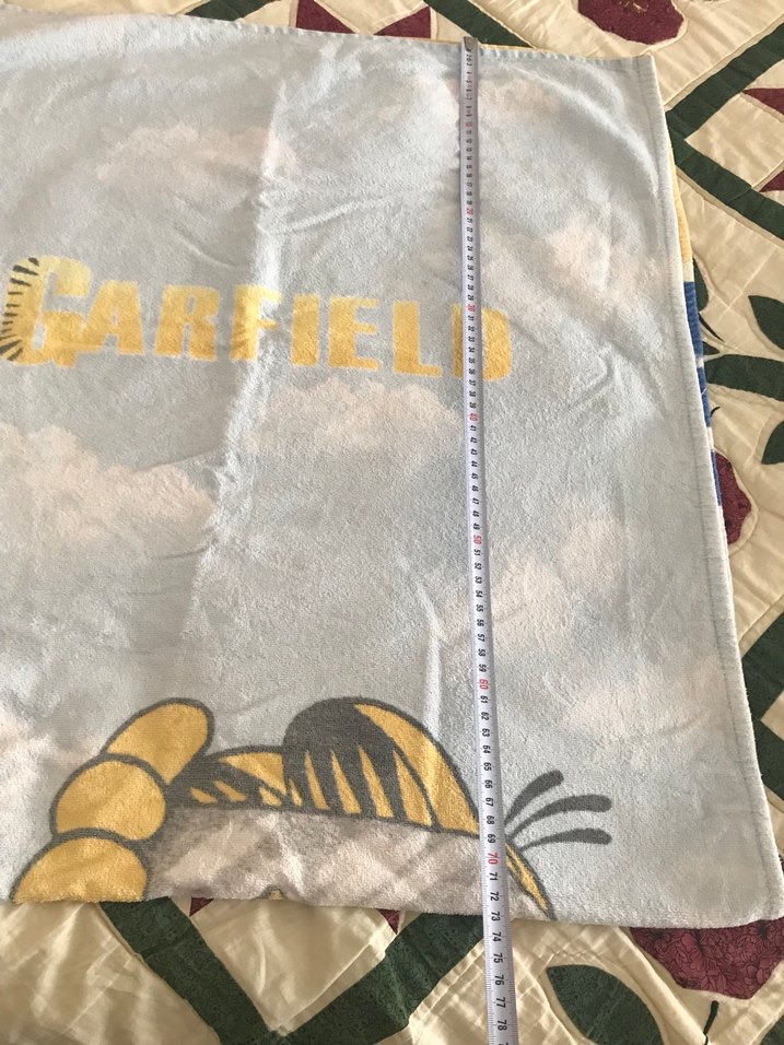 Garfield Baskılı Plaj Havlusu - Görsel 3