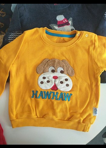 Renkli Baskılı Erkek Çocuk Sweatshirt - Görsel 3