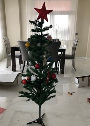 1.60 cm çam ağacı