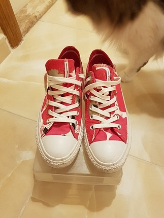 neşeli converse