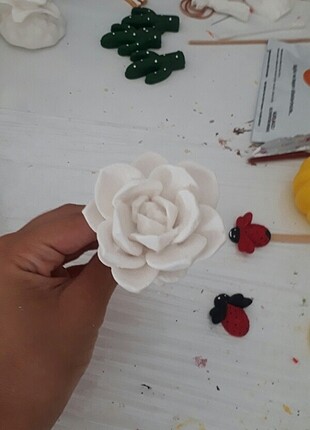 Saksı süsü