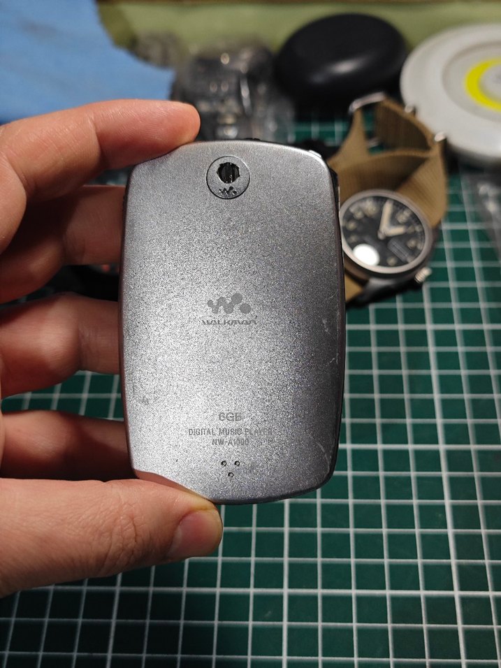 Sony Walkman 6GB NW-A1000 Dijital Music - Görsel 2