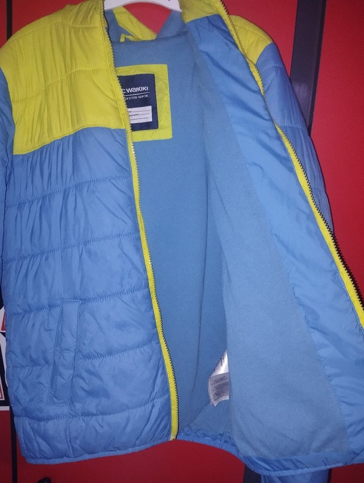 Erkek Çocuk Renkli Fermuarlı Mont - Görsel 2