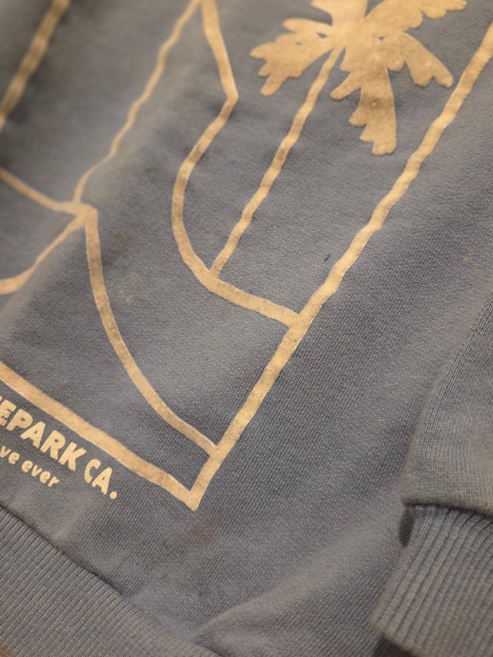 ZARA Kids / Erkek Çocuk Mavi Baskılı Sweatshirt - Görsel 4