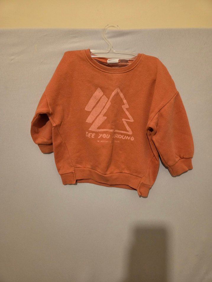 ZARA Kids/ erkek çocuk Sweatshirt - Görsel 2