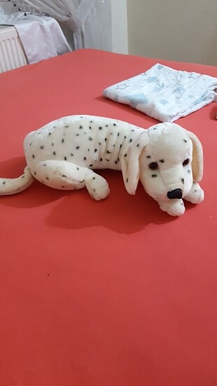 Dalmaçyalı köpek oyuncak