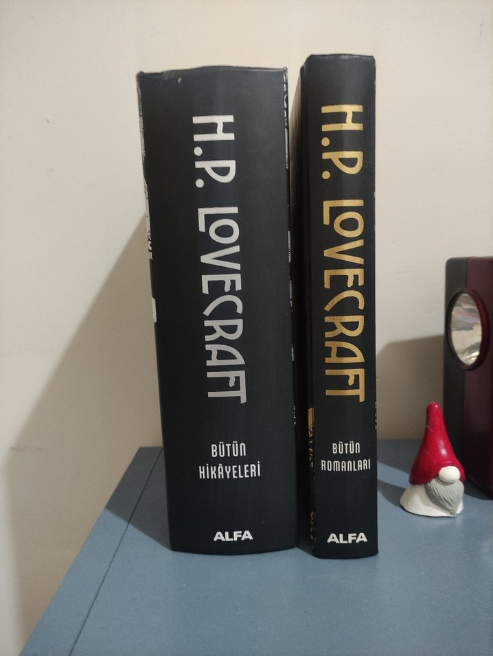 Çeşitli Roman ve Eğitim Kitapları 1. adet fiyatıdır - Görsel 2