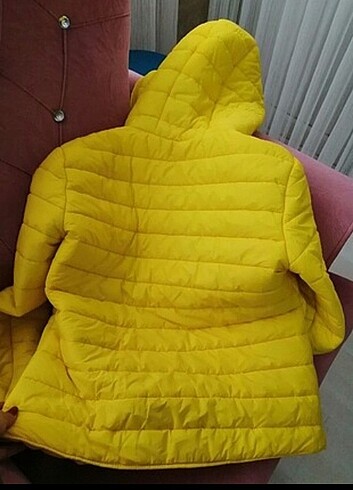 Koton Yeni sayilir