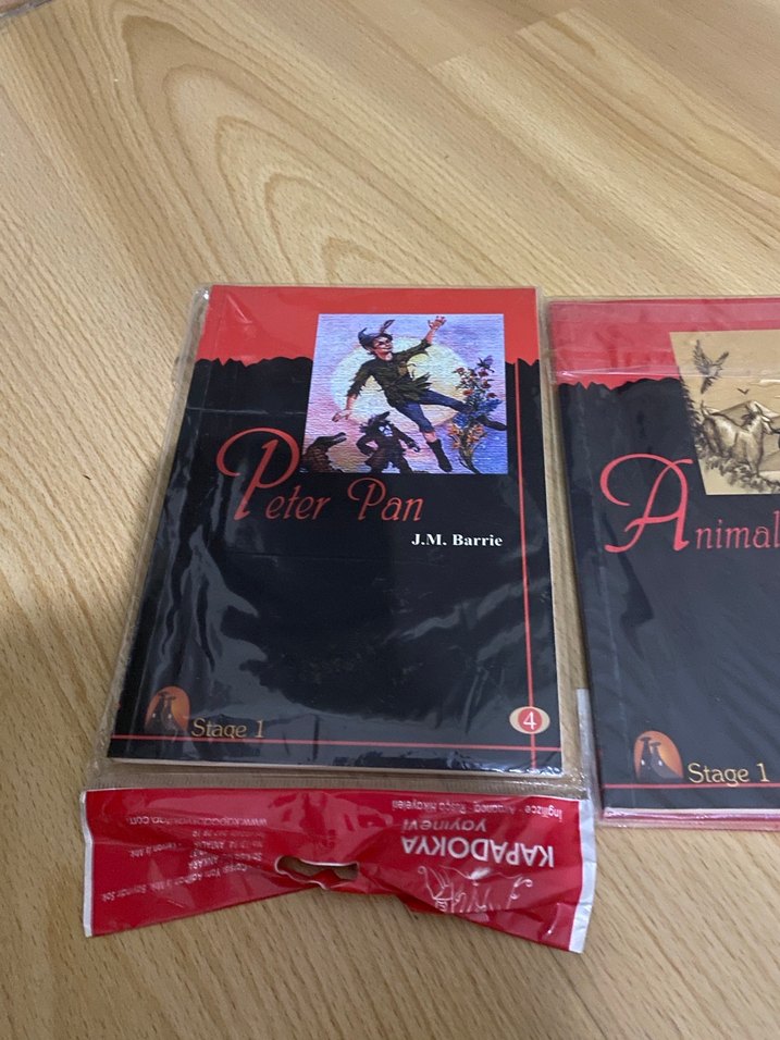 Sesli dinlemeli - Görsel 2