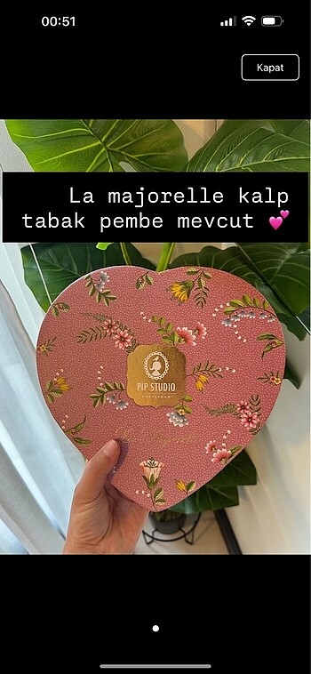 Pembe kalpli tabak