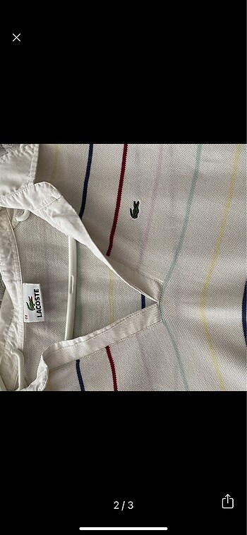Lacoste lacos