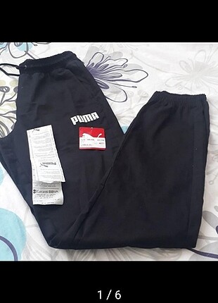 Puma sbefen