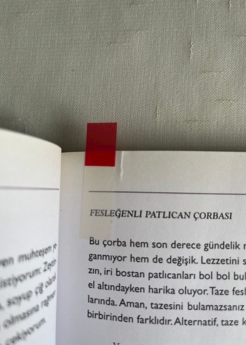 Dumanı Üstünde - Candan Turhan Yemek Kitabı - Görsel 5