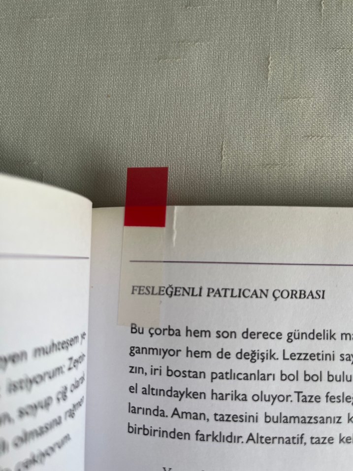 Dumanı Üstünde - Candan Turhan Yemek Kitabı - Görsel 5