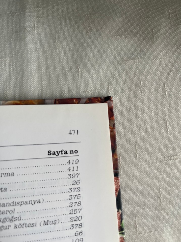 Soframız Tatlısıyla Tuzlusuyla - H. Güler Vural - Görsel 4