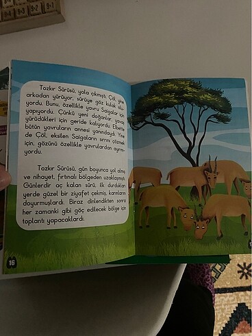  Beden Renk 1/23.Sınıf için