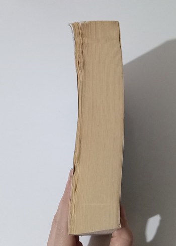 David Canter - Suç Psikolojisi Kitabı - Görsel 3