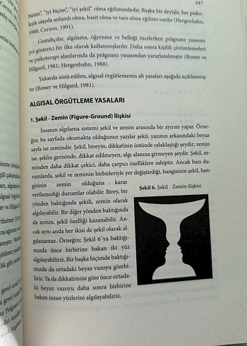 Gelişim, Öğrenme ve Öğretim - Kuramdan Uygulamaya - Görsel 11