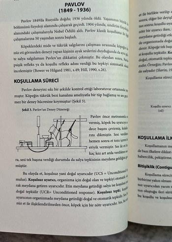 Gelişim, Öğrenme ve Öğretim - Kuramdan Uygulamaya - Görsel 10