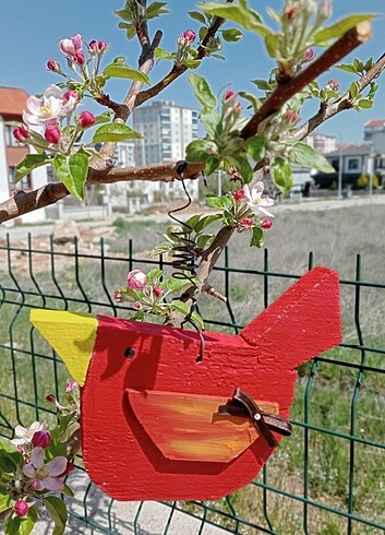 Ahşap kuş 
