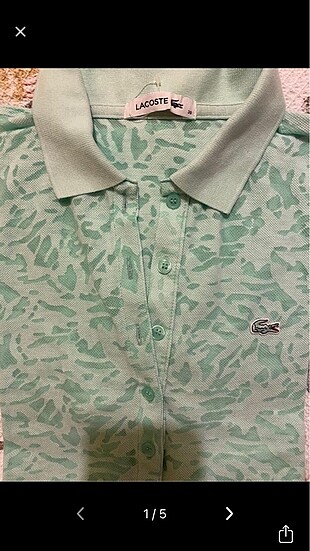 Lacoste Polo yaka
