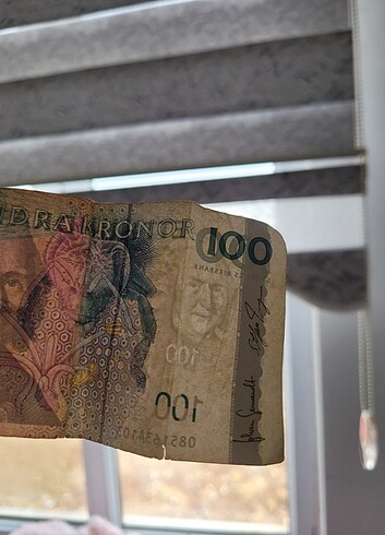 Beden İsveç parası kronor