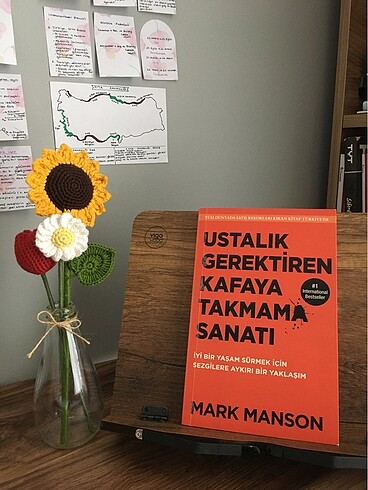 Ustalık Gerektiren Kafaya Takmama Sanatı, Mark Manson