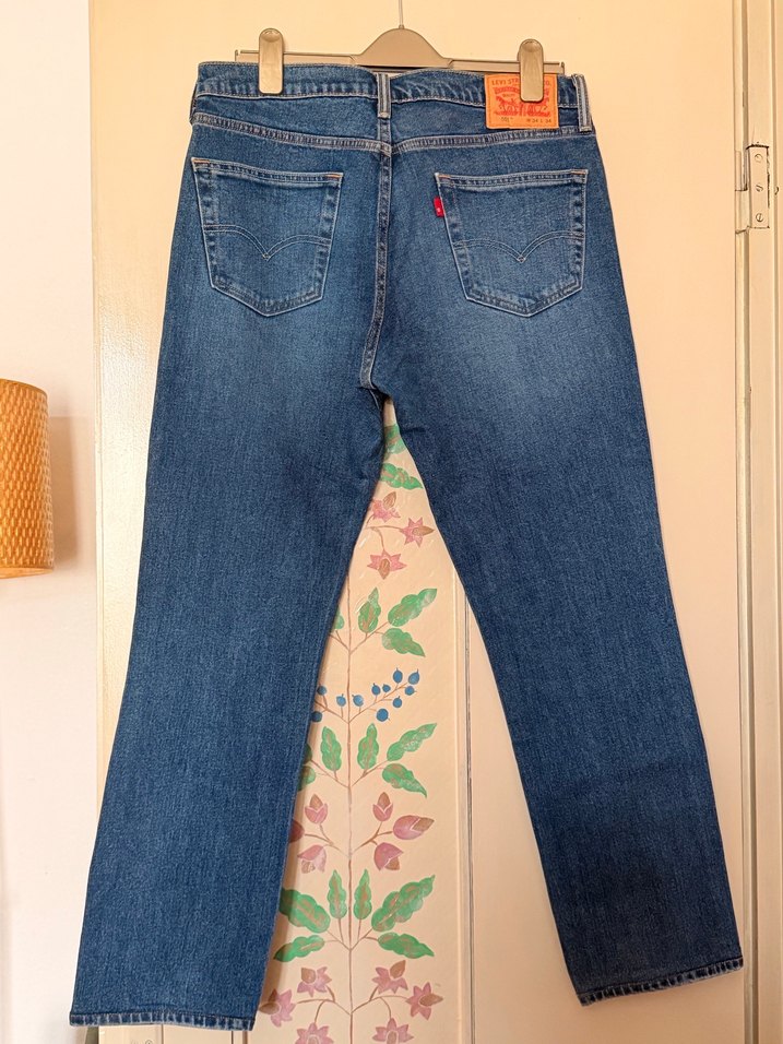 Levis Erkek Denim Kot Pantolon - Görsel 2
