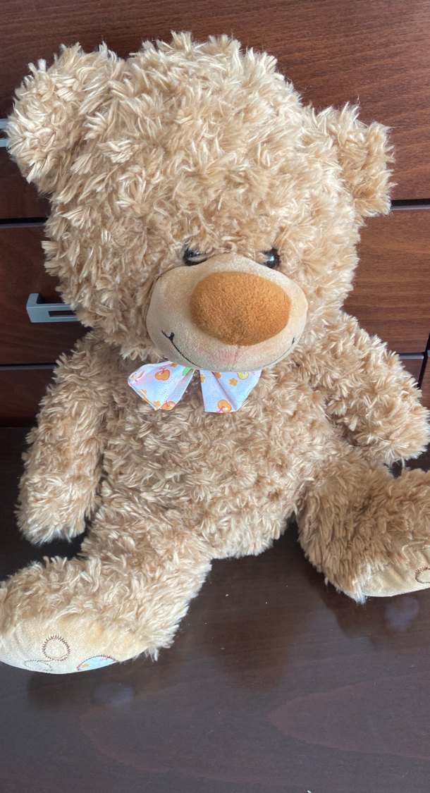 Pastel Kahverengi Peluş Ayıcık - Görsel 3